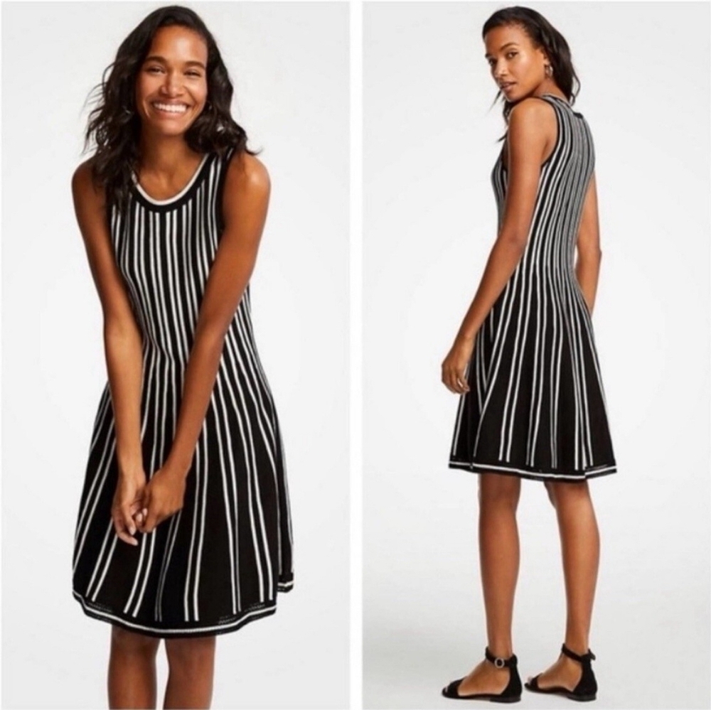 Ann Taylor Black & White Vertical Stripe Sleeveless Fit & Flare Knit Dress XXSP